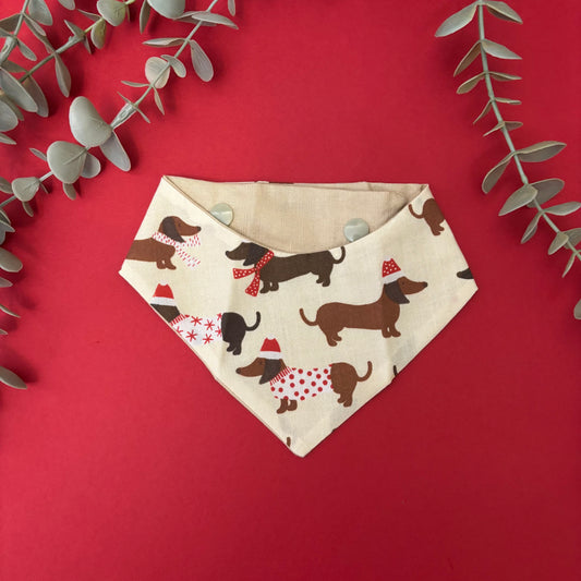 Cream Dachschund Bandana - XS